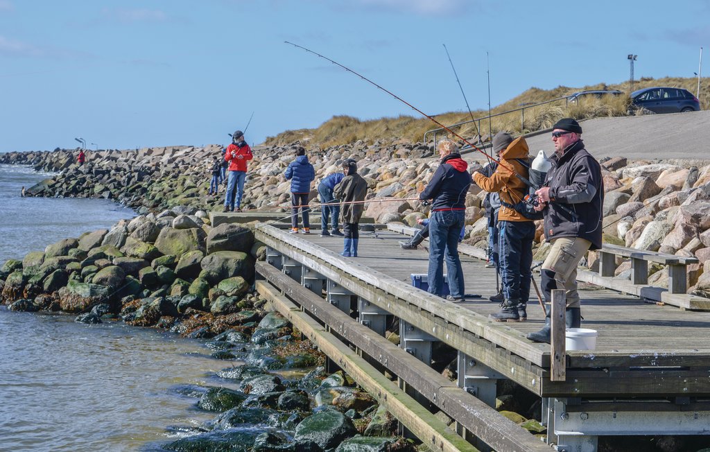 Feriehuse - Vedersø Klit , Danmark - C04139 23