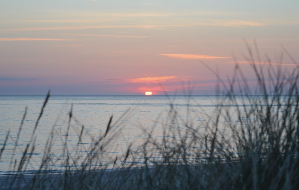 Feriehus - Vedersø Klit , Danmark - C04342 32