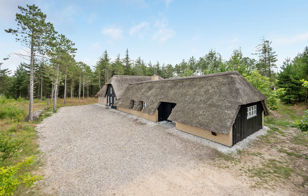 Ferienhaus - Vester Husby , Dänemark - C04230 9