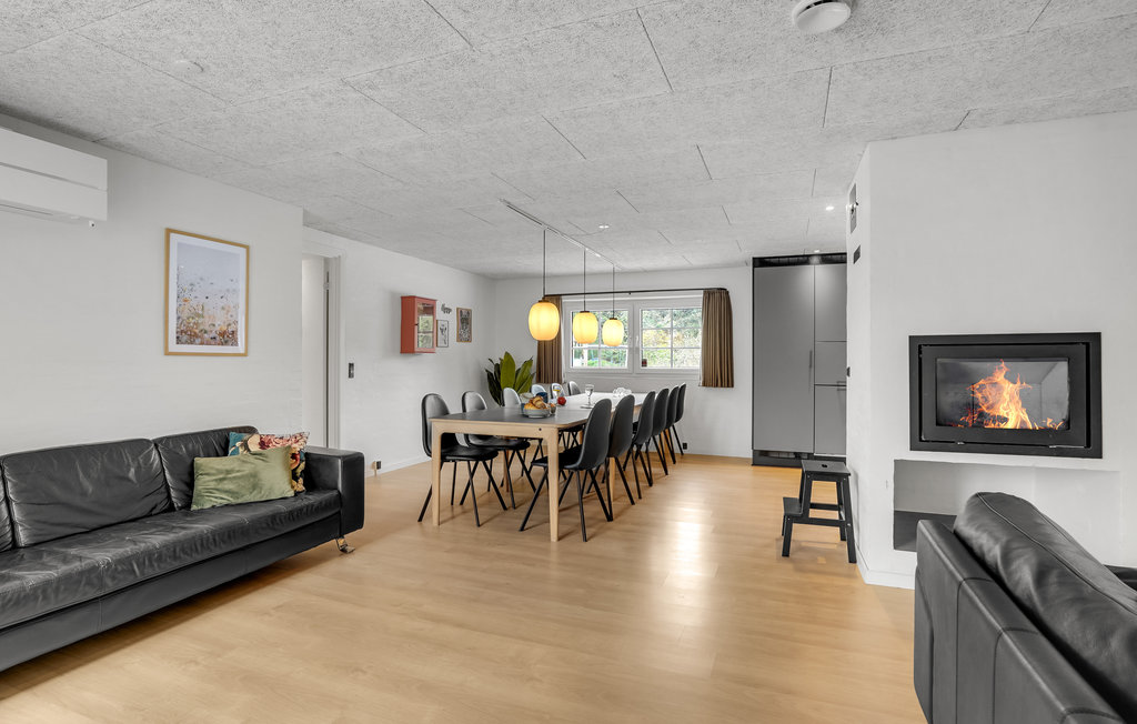 Ferienhaus - Vester Husby , Dänemark - C04540 5