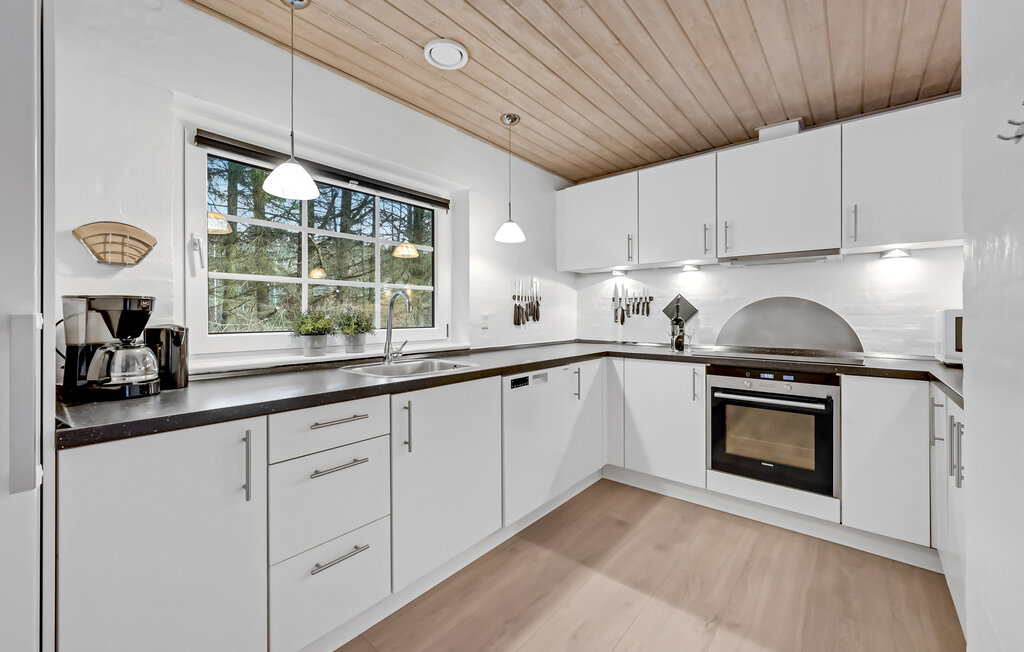 Domy wakacyjne - Vester Husby , Dania - C04663 21