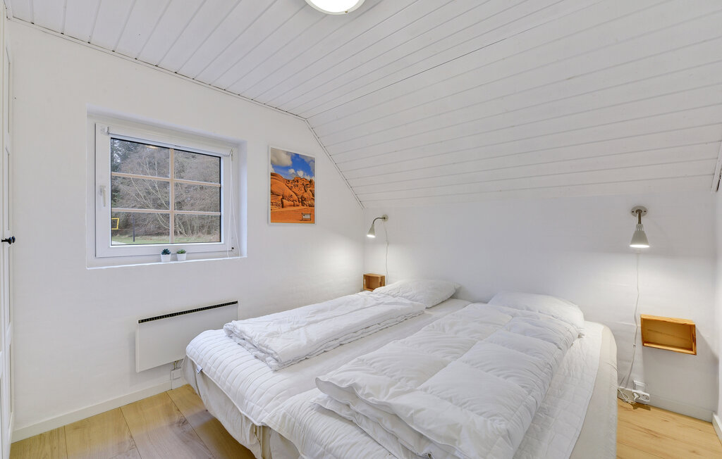 Domy wakacyjne - Vester Husby , Dania - C04662 26