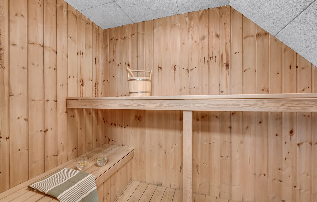 Domy wakacyjne - Vester Husby , Dania - C04663 30