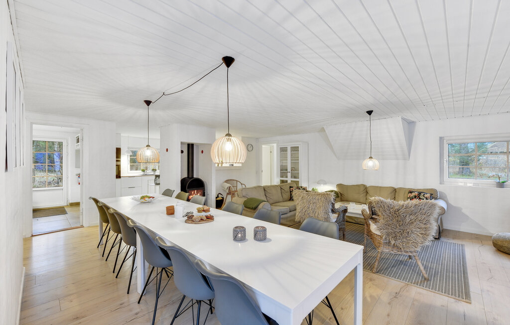 Domy wakacyjne - Vester Husby , Dania - C04662 21