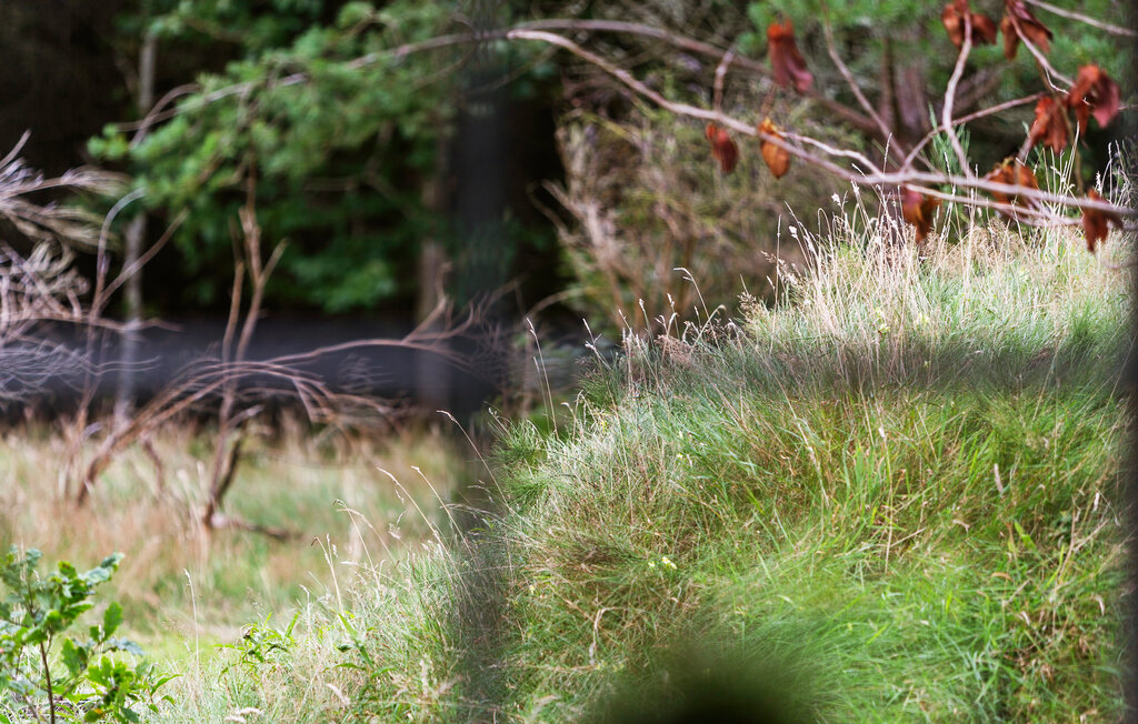 Ferienhaus - Vester Husby , Dänemark - C04336 17