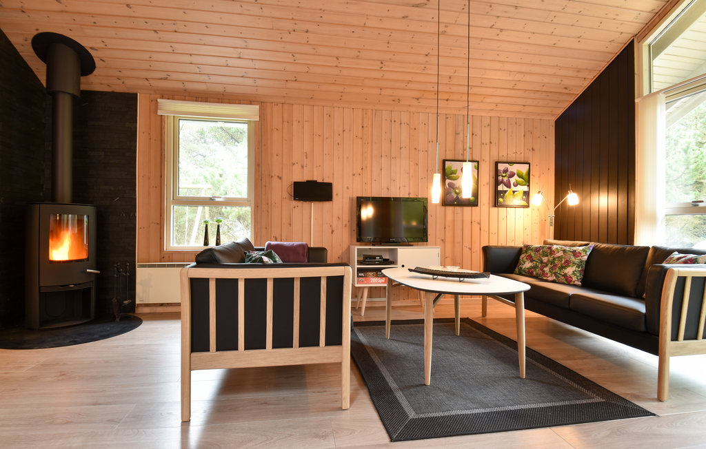 Ferienhaus - Houvig , Dänemark - C05287 2