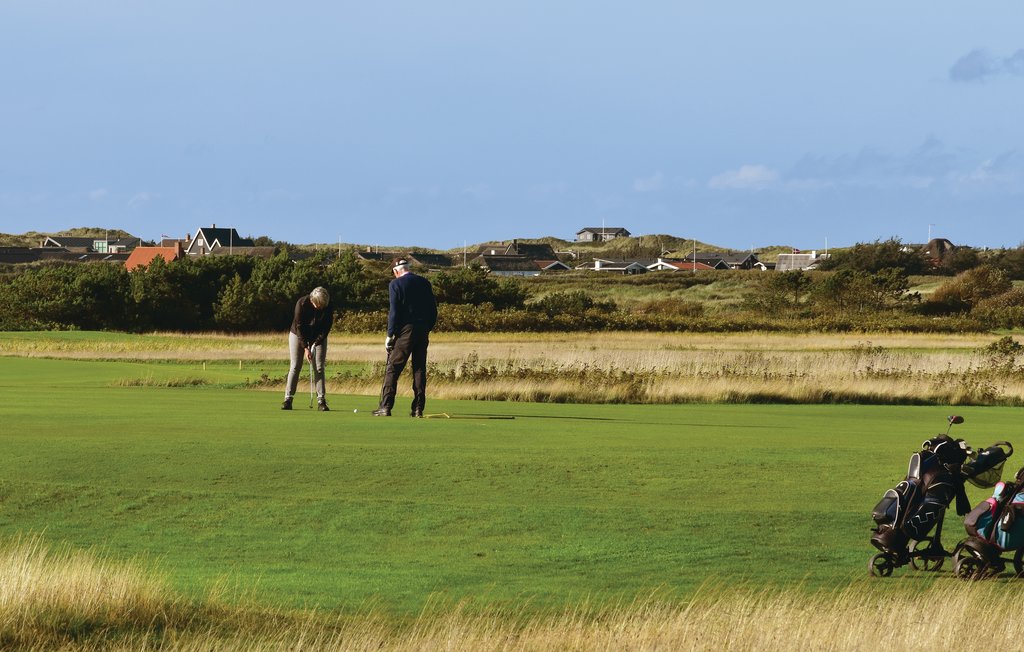 Ferienhaus - Houvig , Dänemark - C05287 24