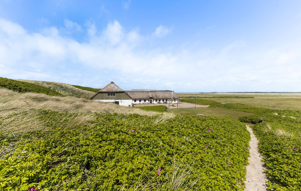 Ferienwohnung - Houvig , Dänemark - C05596 10