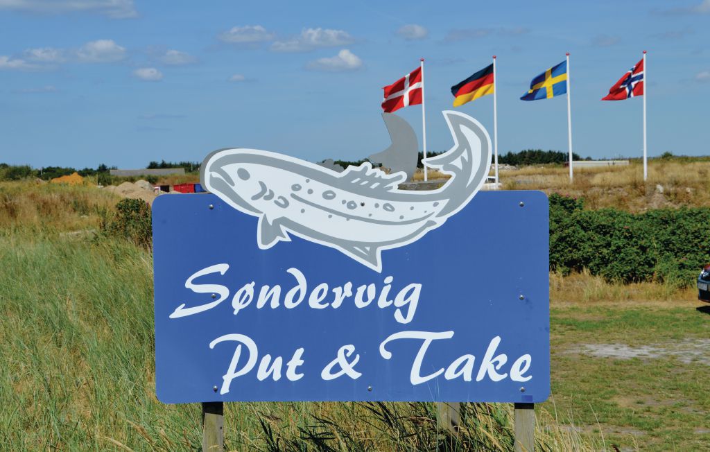 Feriehuse - Søndervig , Danmark - C06600 35