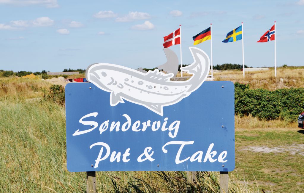 Ferienhaus - Søndervig , Dänemark - C06304 18