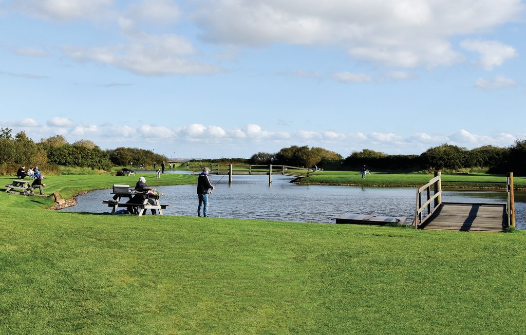 Ferienhaus - Søndervig , Dänemark - C06401 16