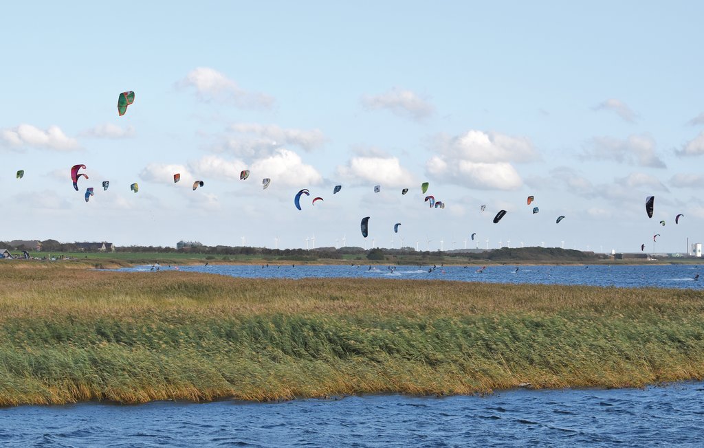 Feriehuse - Søndervig , Danmark - C07136 18