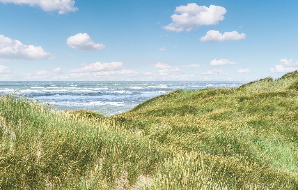 Ferienhaus - Søndervig , Dänemark - C09593 29