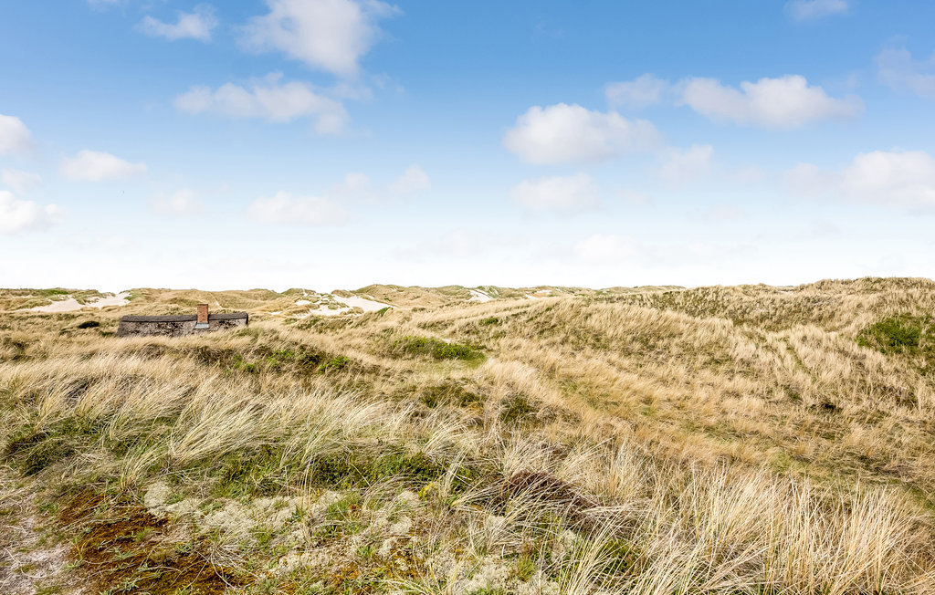 Ferienhaus - Søndervig , Dänemark - C09593 17