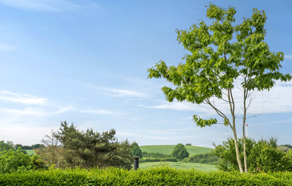 Feriehuse - Vemmingbund Strand , Danmark - C1064 15
