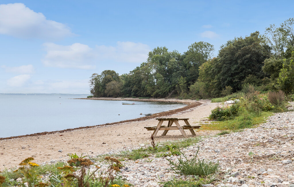 Feriehuse - Loddenhøj Strand , Danmark - C1041 28