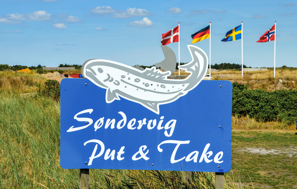 Ferienhaus - Søndervig , Dänemark - C11007 22