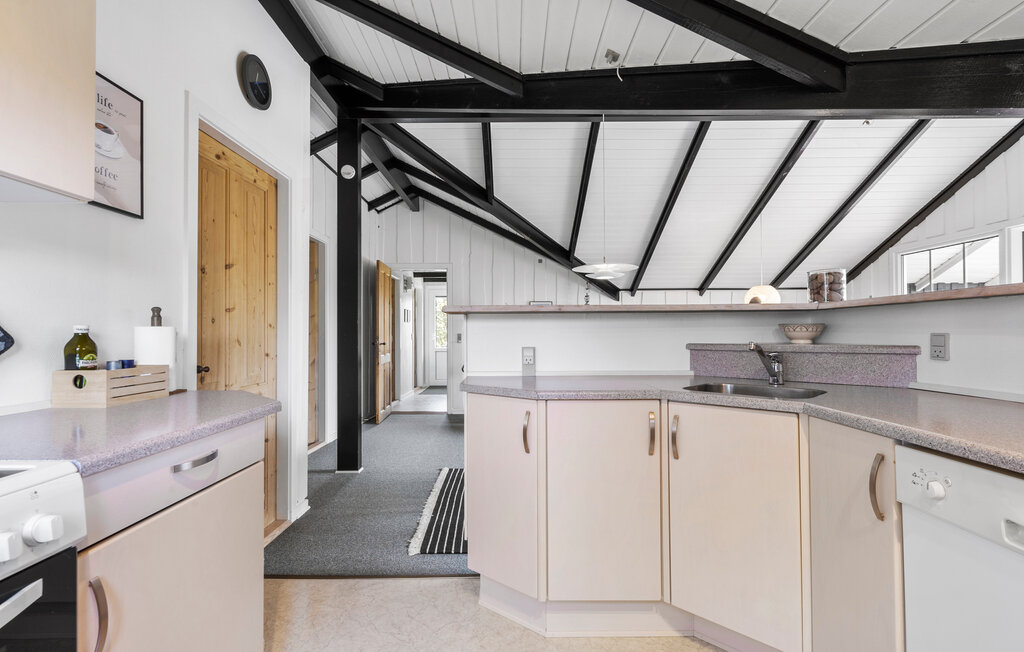 Domy wakacyjne - Søndervig , Dania - C11594 7