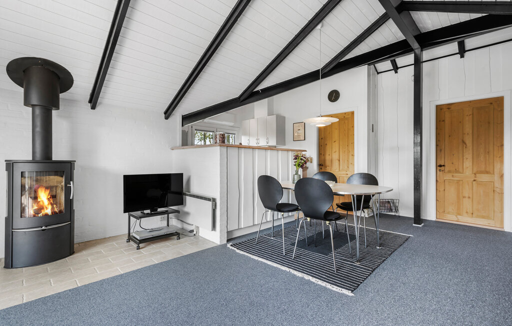 Domy wakacyjne - Søndervig , Dania - C11594 4