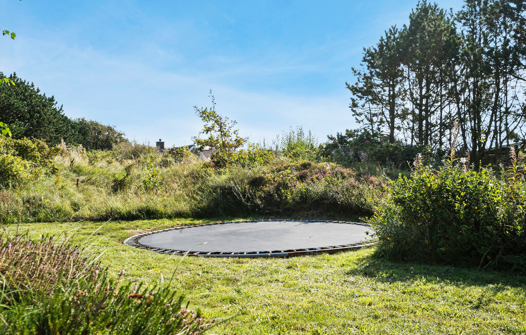 Domy wakacyjne - Søndervig , Dania - C11594 10