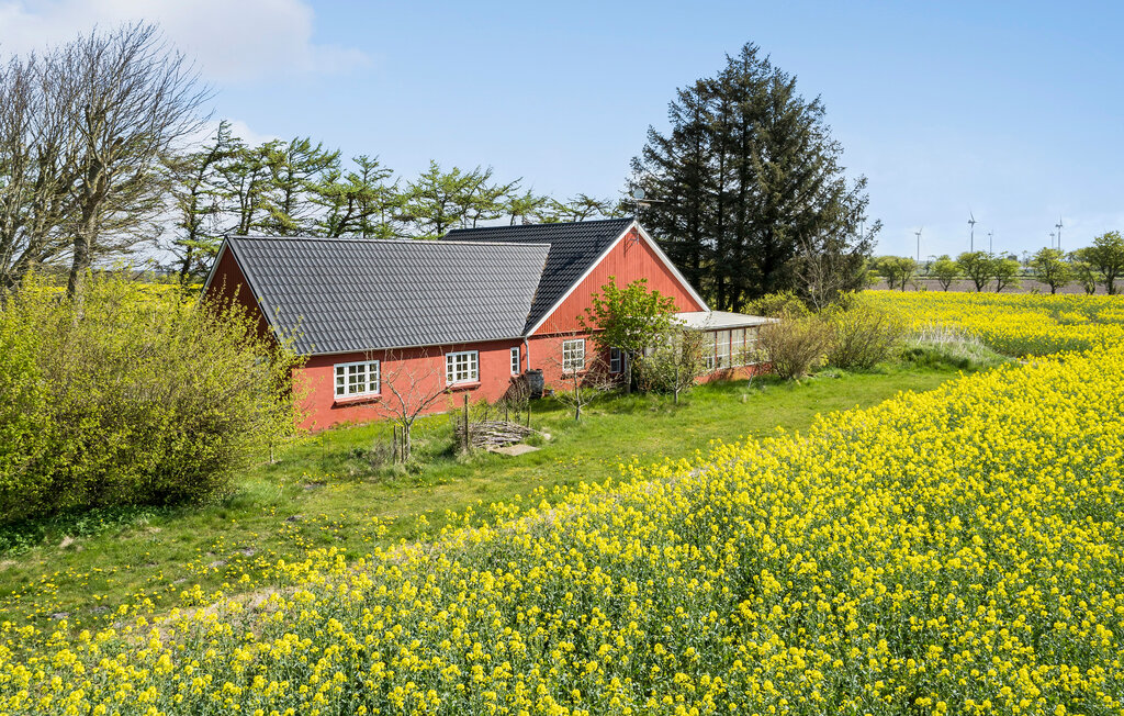 Feriehuse - No , Danmark - C13554 10