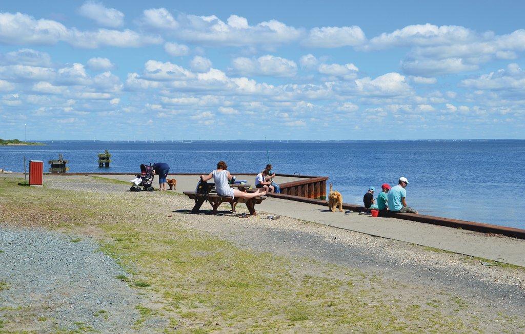Ferienhaus - Søndervig , Dänemark - C17009 29