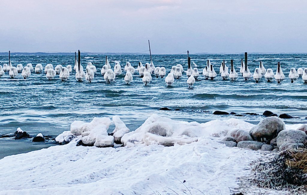 Feriehuse - Hejlsminde Strand , Danmark - C2023 29