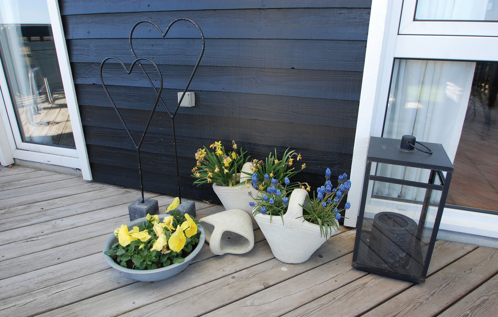 Feriehuse - Grønninghoved Strand , Danmark - C2028 6