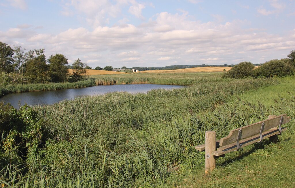 Semesterhus - Hejlsminde Strand , Danmark - C2033 21