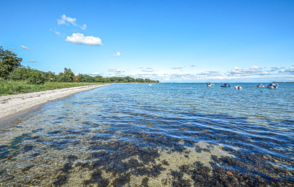 Feriehuse - Sandersvig , Danmark - C2196 29