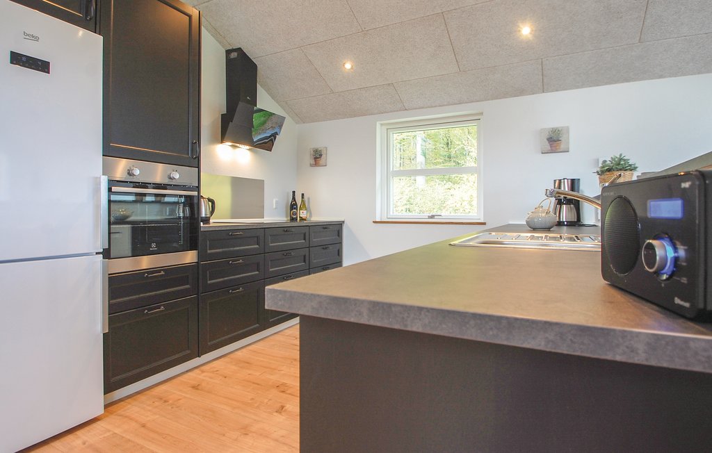 Feriehuse - Sandersvig Strand , Danmark - C2182 12