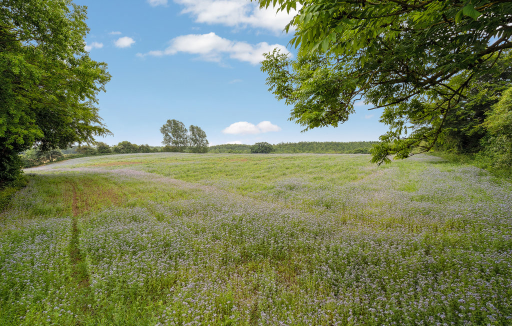 Feriehuse - Sandersvig Strand , Danmark - C2190 28