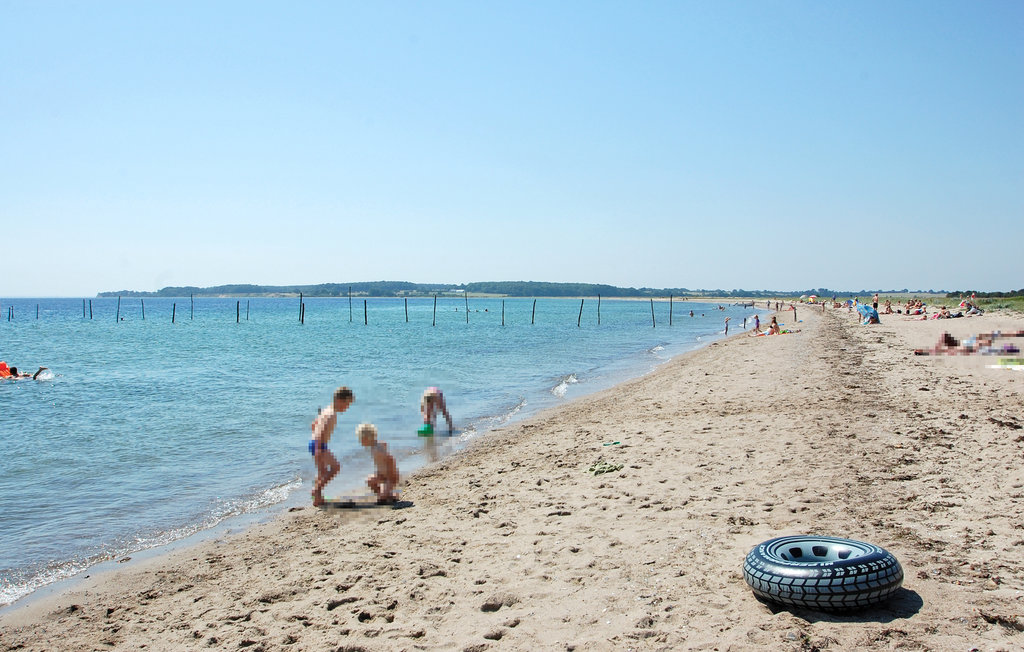 Ferienhaus - Flovt Strand , Dänemark - C2164 17