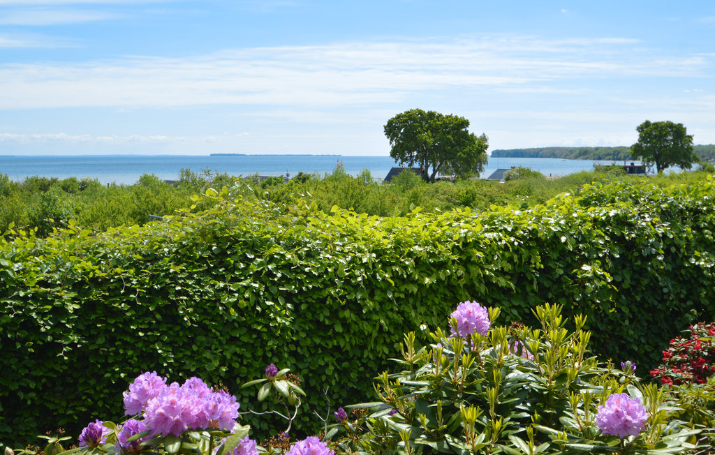 Feriehuse - Binderup Strand , Danmark - C2143 13