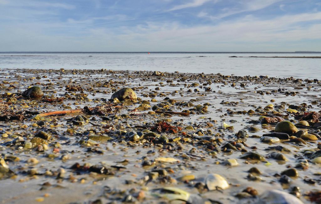 Feriehuse - Binderup Strand , Danmark - C2269 24