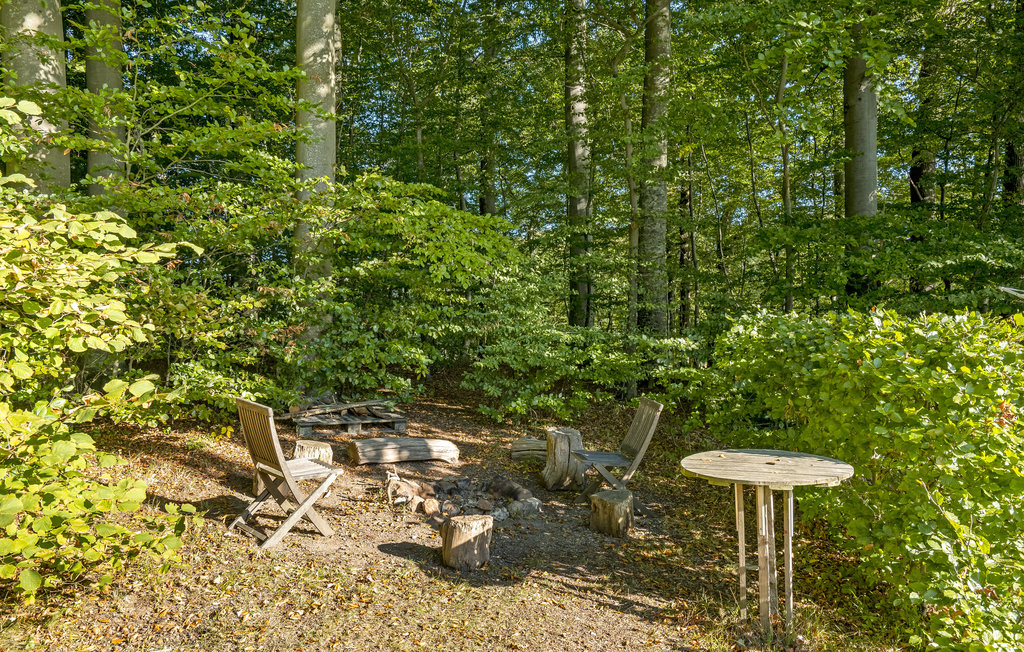 Semesterhus - Kelstrup Strand , Danmark - C2221 9
