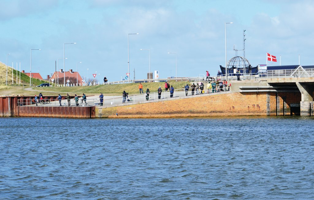 Feriehuse - Nr. Lyngvig , Danmark - C23176 15