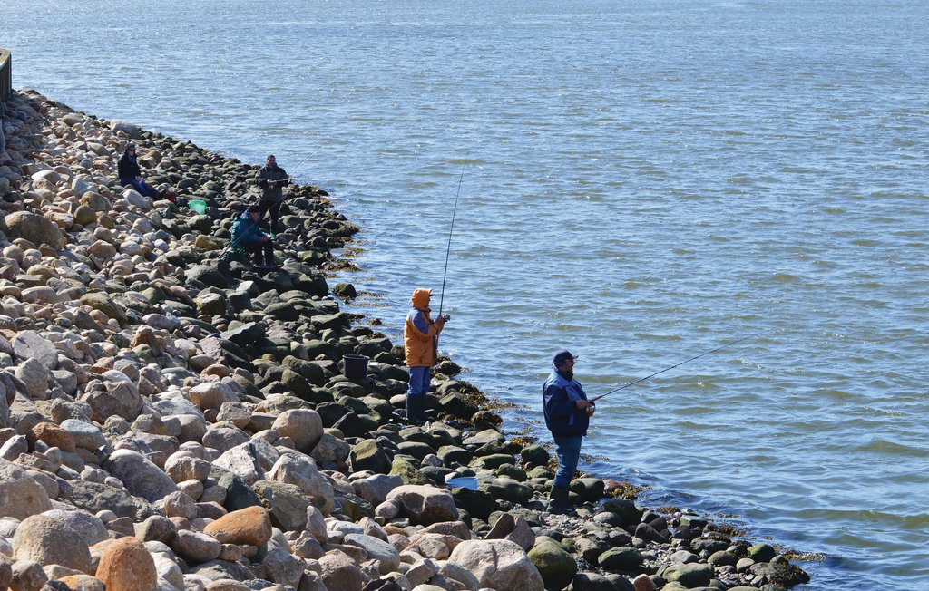 Ferienhaus - Nr. Lyngvig , Dänemark - C23428 30