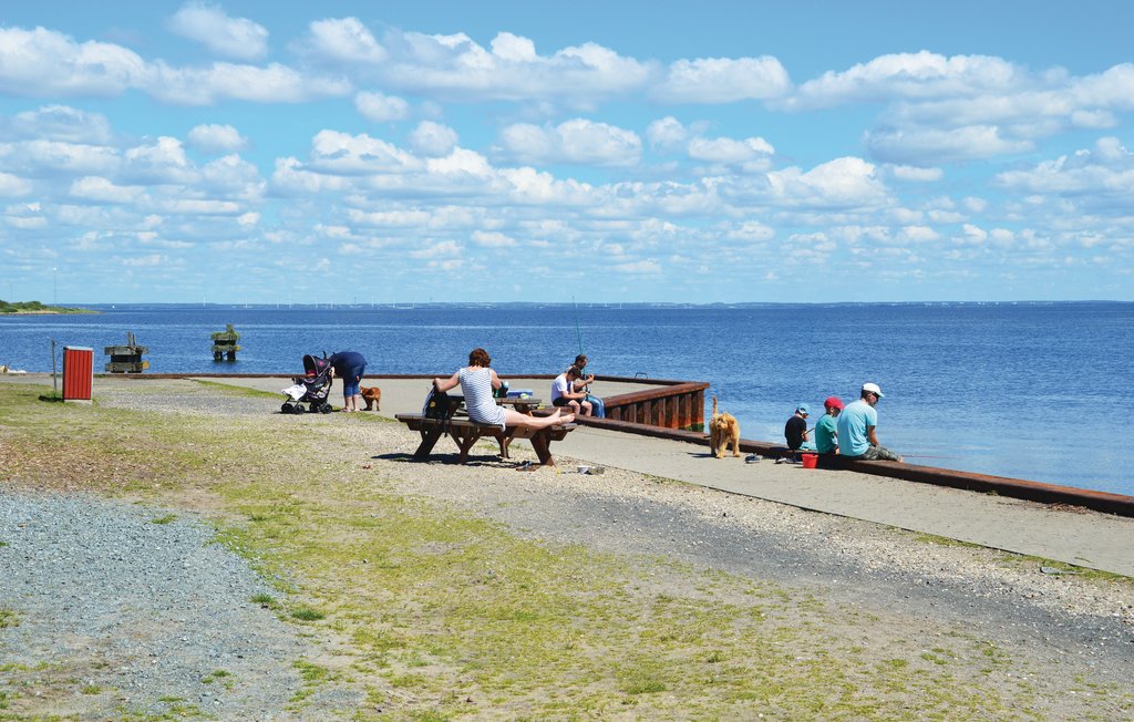 Feriehuse - Nr. Lyngvig , Danmark - C23176 14