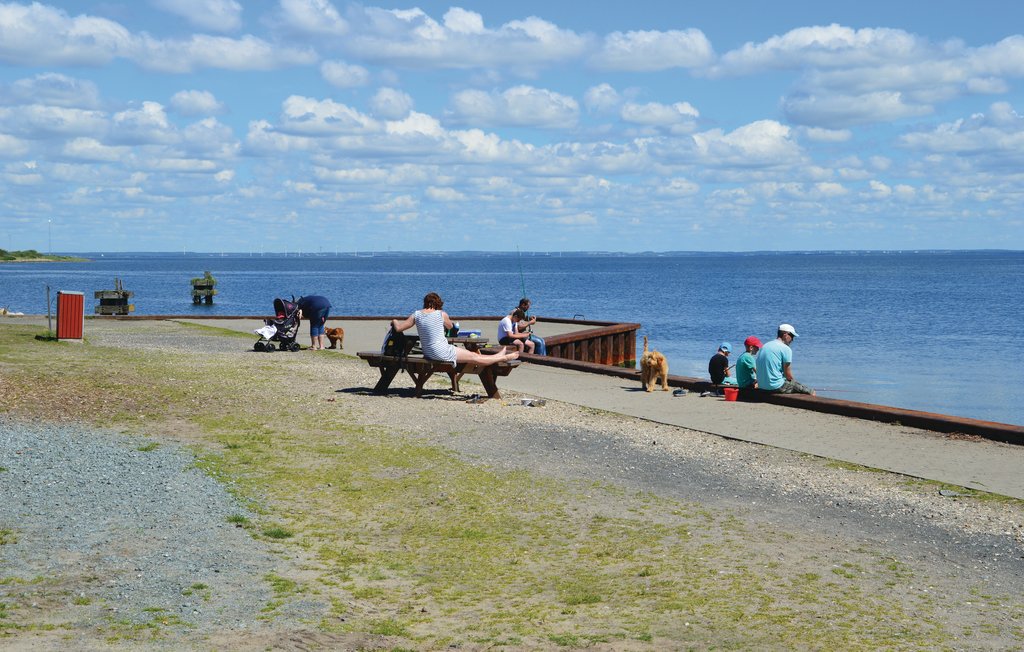 Ferienhaus - Nr. Lyngvig , Dänemark - C23428 29