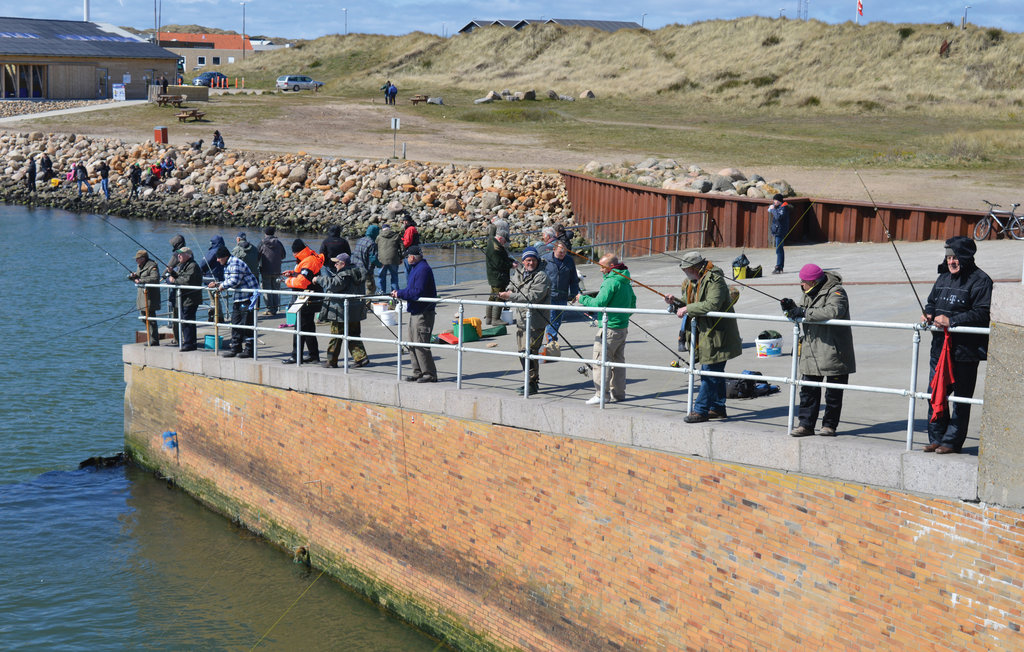 Feriehuse - Nr. Lyngvig , Danmark - C23512 27