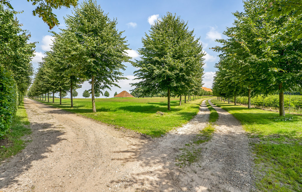 Ferienhaus - Lindeballe , Dänemark - C3013 17