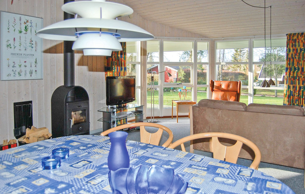 Feriehus - Truust , Danmark - C4049 6