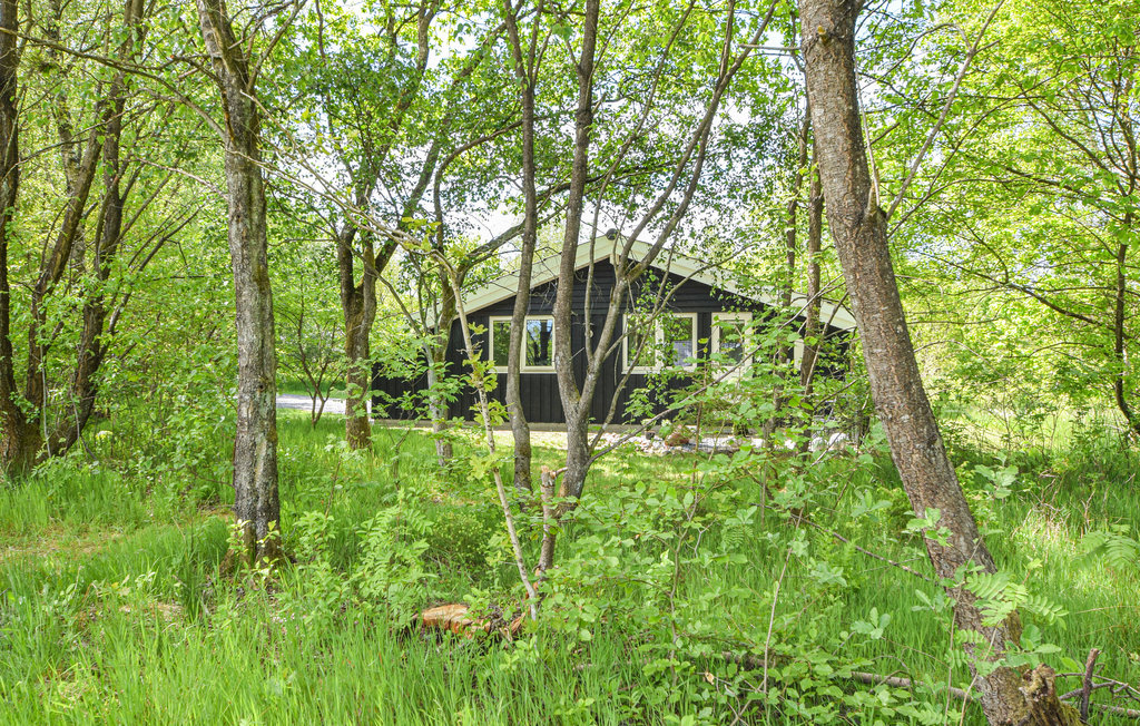 Ferienhaus - Vesterlund , Dänemark - C4050 12