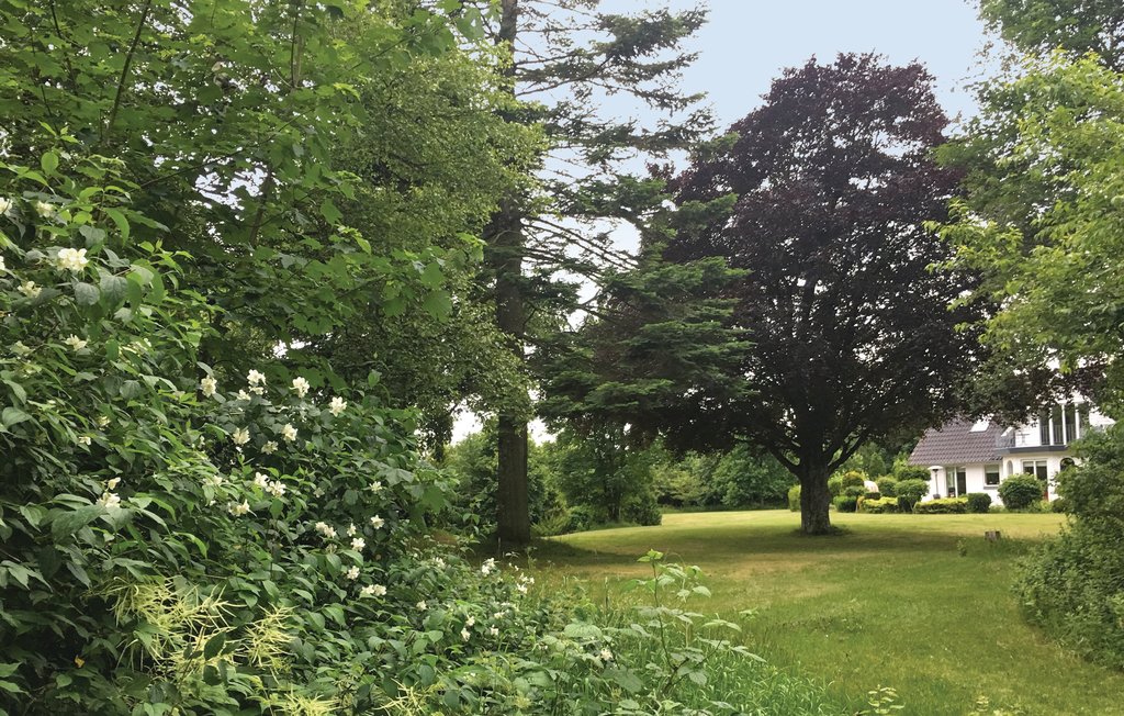 Ferienhaus - Brande , Dänemark - C4130 9