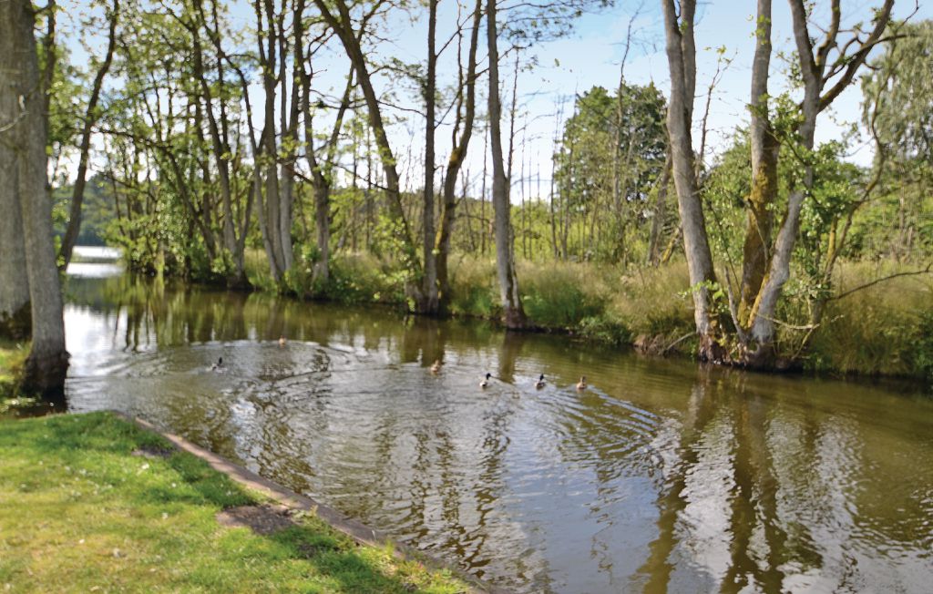 Semesterhus - Silkeborg , Danmark - C4145 5