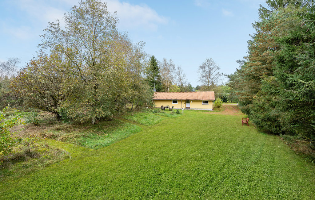 Semesterhus - Kølkær , Danmark - C4131 4