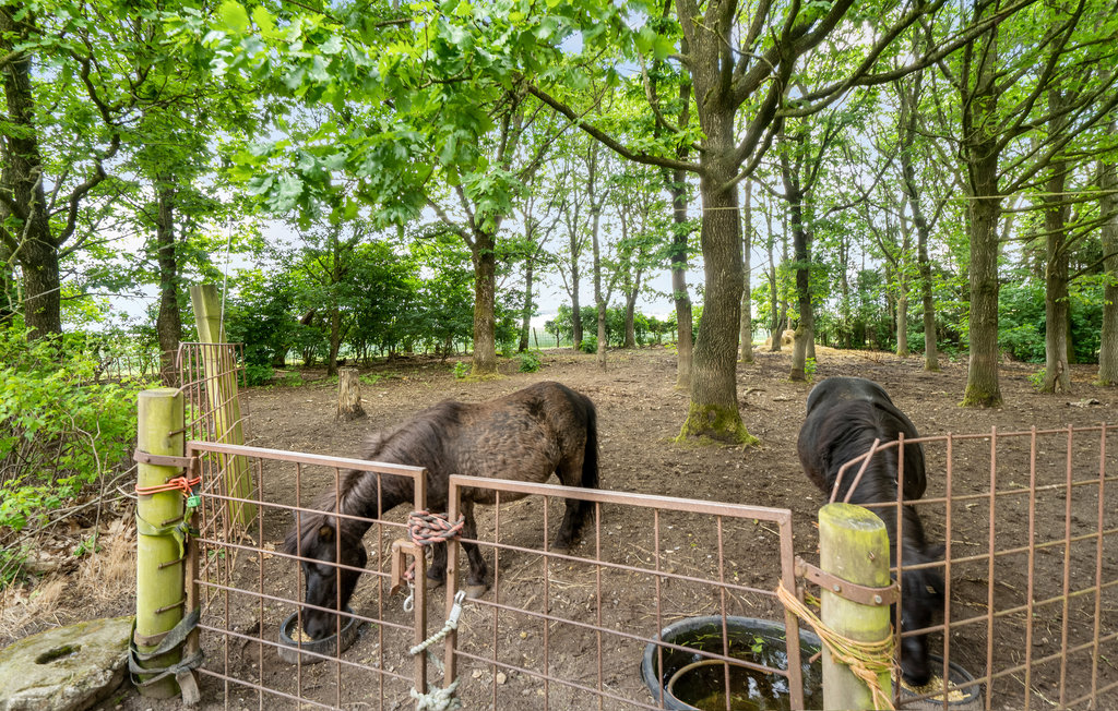 Feriehuse - Hjarbæk , Danmark - C5043 22