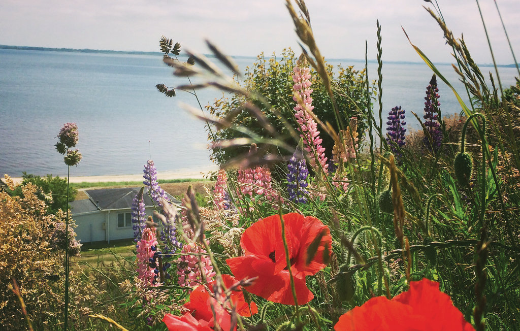 Feriehuse - Lyby Strand , Danmark - C5122 28