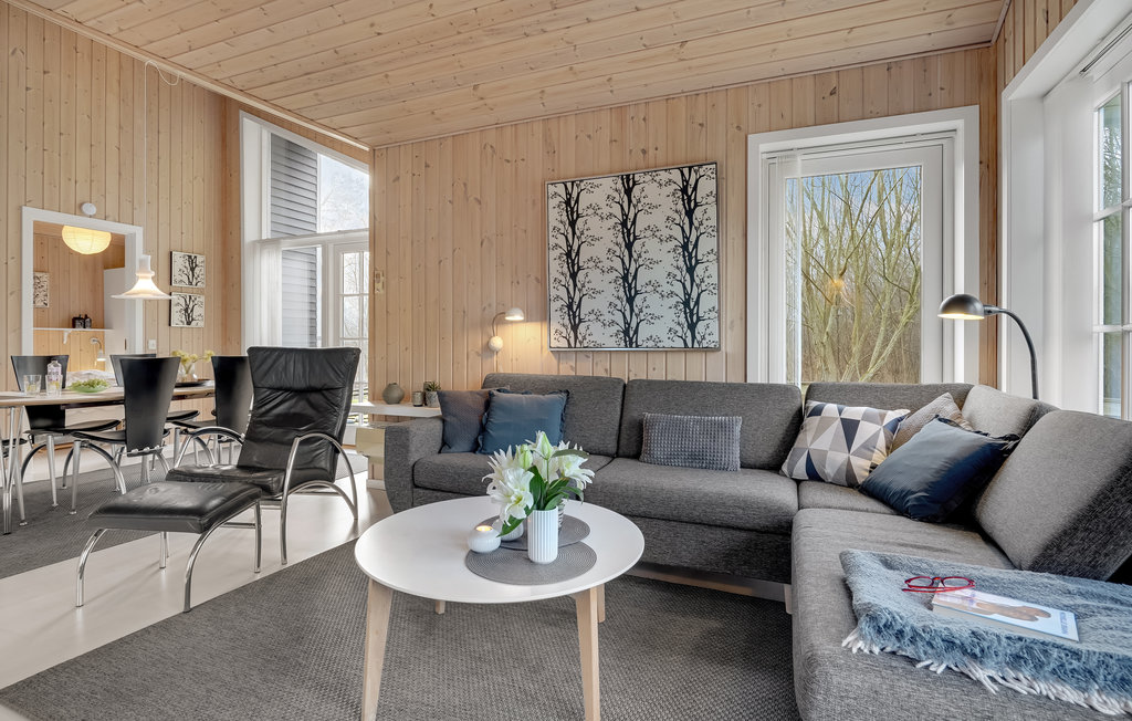 Feriehuse - Trend Strand , Danmark - C6109 14